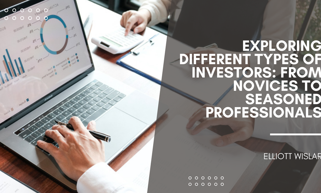 Exploring Different Types of Investors: From Novices to Seasoned Professionals